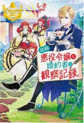 傲娇系列 第4集